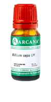 ALLIUM CEPA LM 18 Dilution