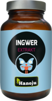 INGWER EXTRAKT 400 mg Kapseln