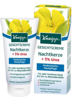 KNEIPP Gesichtscreme Nachtkerze+5% Urea